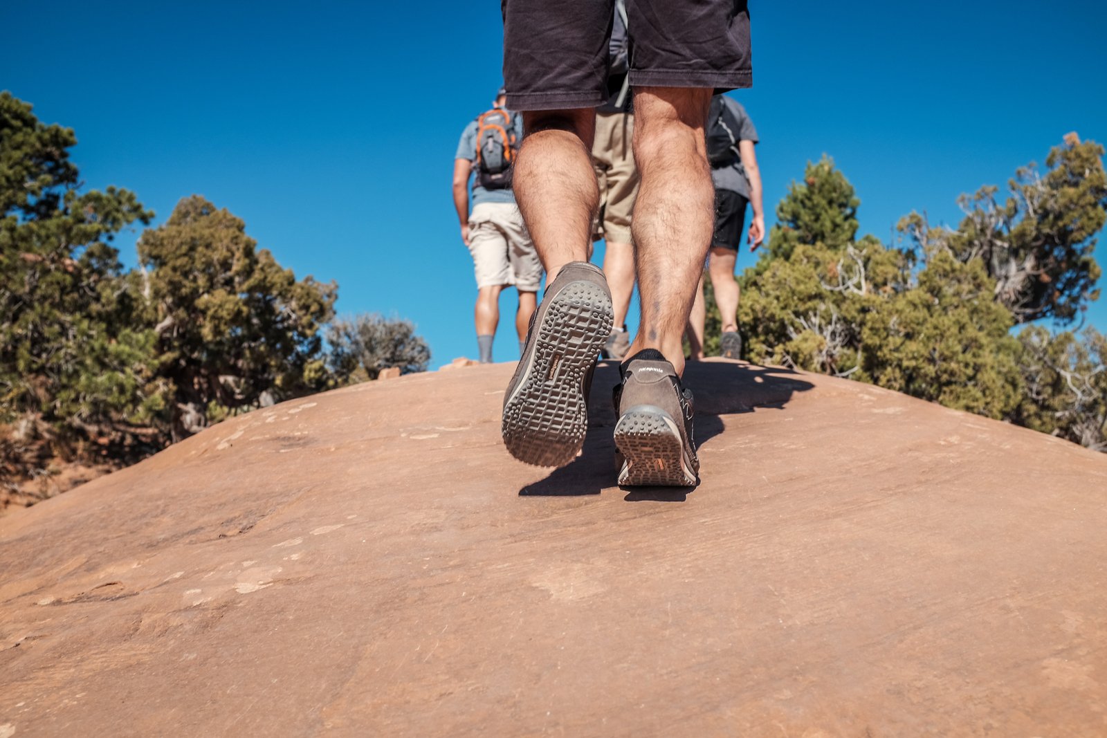 phil-coffman-161238-unsplash phil-coffman-161238-unsplash